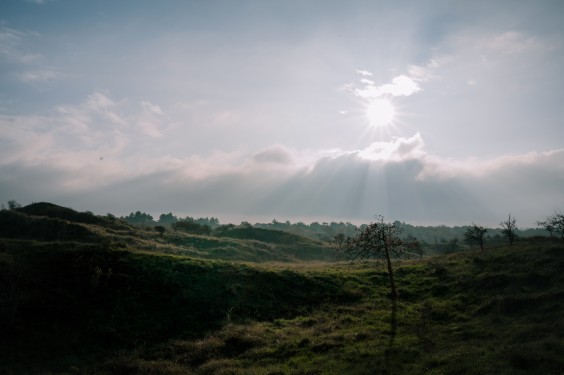 Crosshill duinbegrazing | Fotografie: Sheena Schouwink