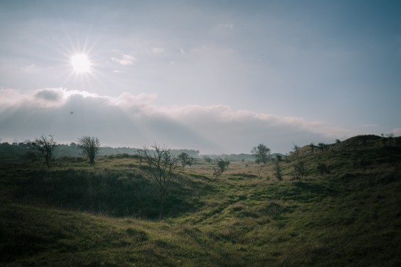 Crosshill duinbegrazing | Fotografie: Sheena Schouwink