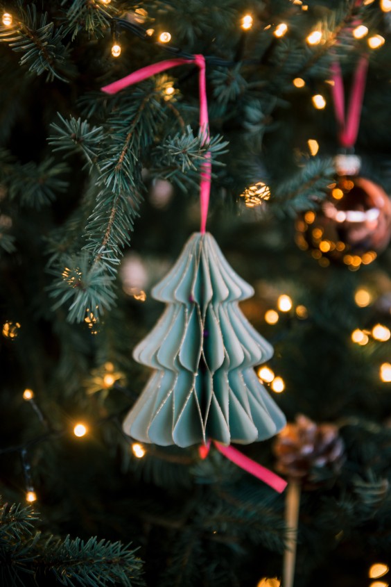 Kerstspecial - Foto: Sheena Schouwink