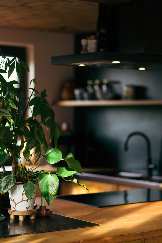 Familieboerderij Huissen | Fotografie: Marjon Lukje