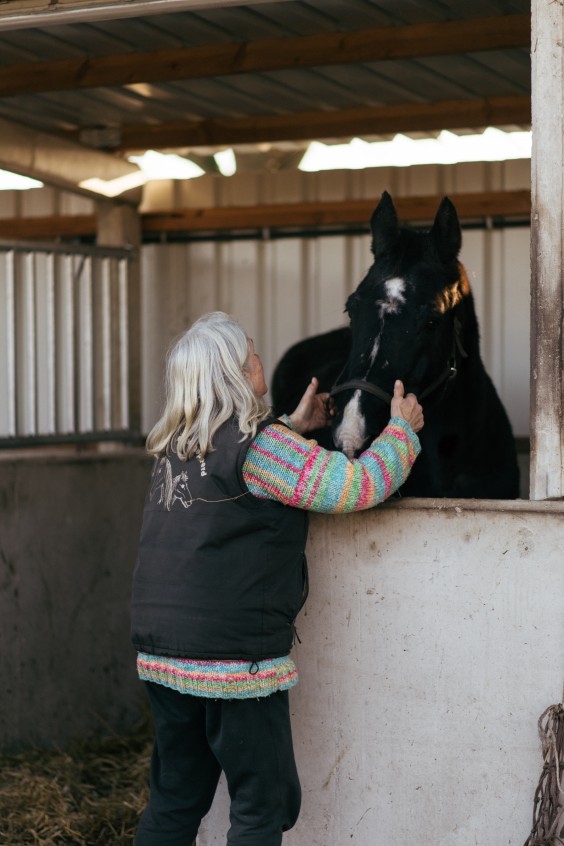 Gepensioneerde paarden - Foto: Marjon Lukje