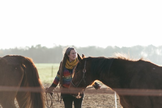 Gepensioneerde paarden - Foto: Marjon Lukje