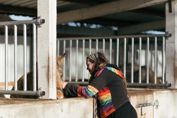 Gepensioneerde paarden - Foto: Marjon Lukje
