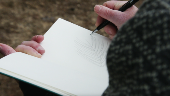 boomsilhouetten-Jasper de Ruiter