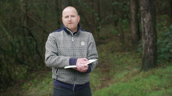 boomsilhouetten-Jasper de Ruiter