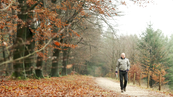 boomsilhouetten-Jasper de Ruiter