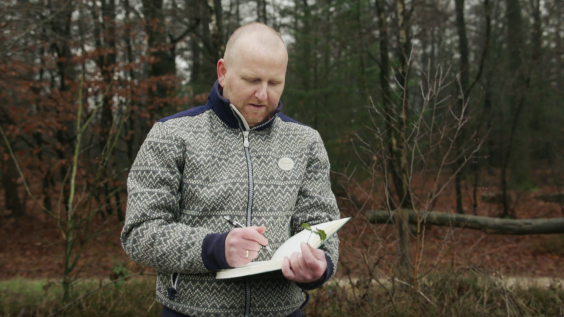 boomsilhouetten-Jasper de Ruiter