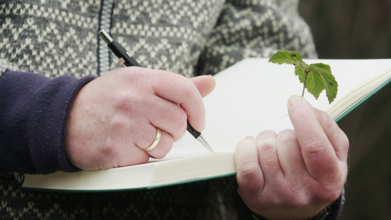 boomsilhouetten-Jasper de Ruiter