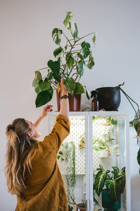 Urban Jungle Dordrecht | Fotografie: Roos Eijmers 