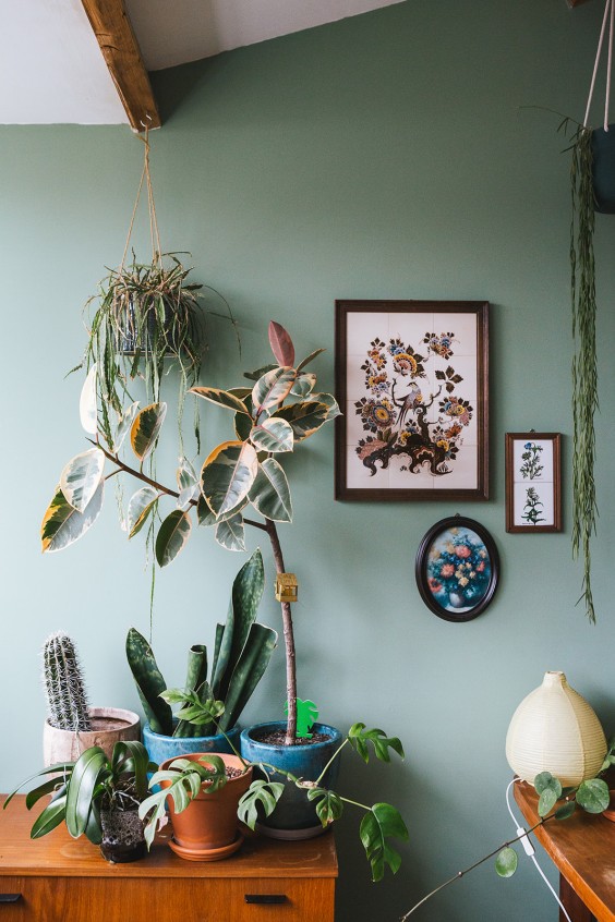 Urban Jungle Dordrecht | Fotografie: Roos Eijmers 