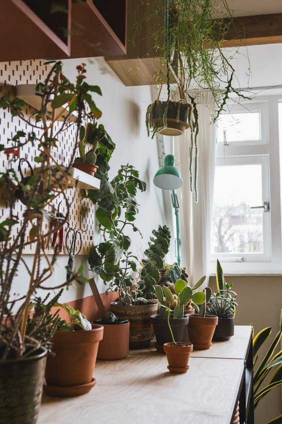 Urban Jungle Dordrecht | Fotografie: Roos Eijmers 