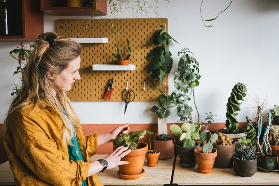 Urban Jungle Dordrecht | Fotografie: Roos Eijmers 