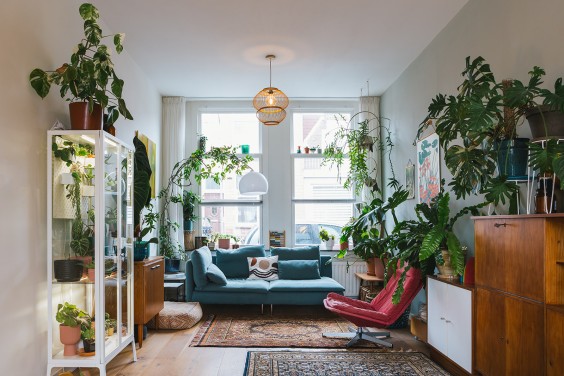 Urban Jungle Dordrecht | Fotografie: Roos Eijmers 