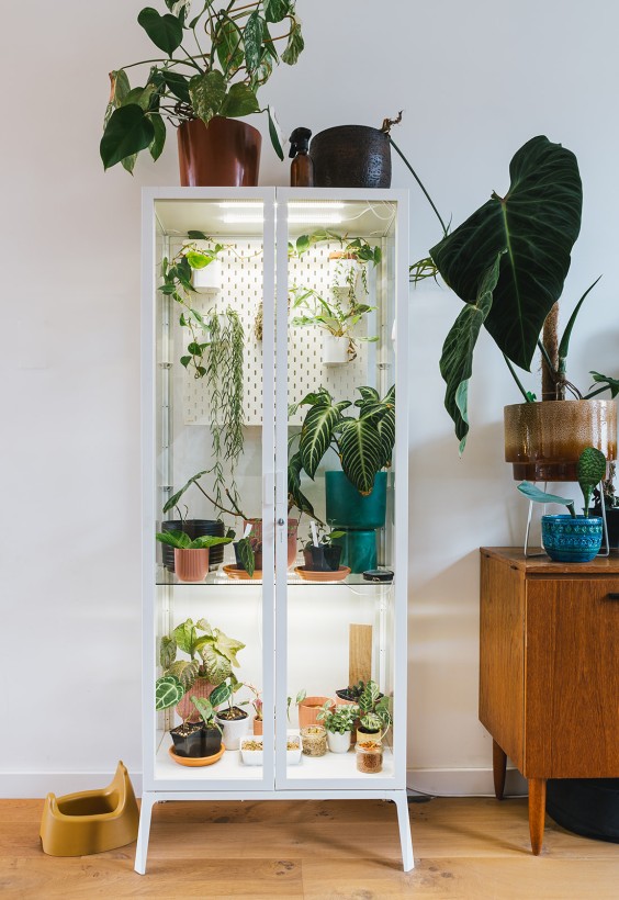 Urban Jungle Dordrecht | Fotografie: Roos Eijmers 