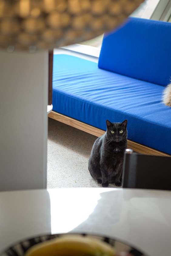 Kubuswoning Rotterdam | Fotografie: Roos Eijmers