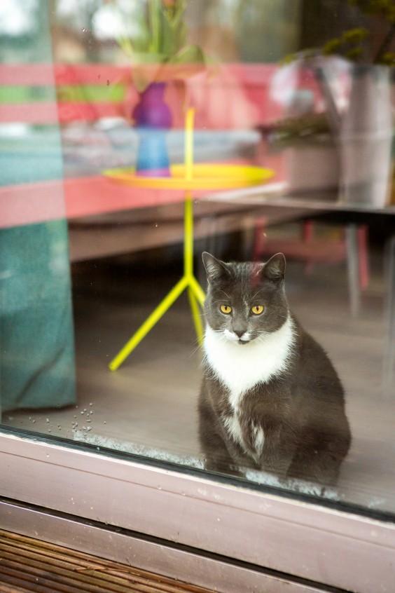 Zelf ontworpen tiny house in Rotterdam | Fotografie: Roos Eijmers