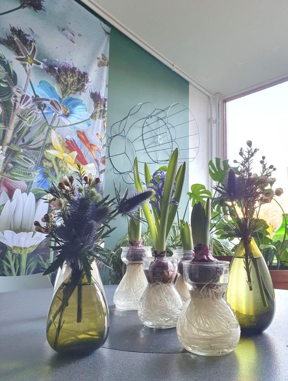 Woning Birgitta Gadellaa.jpg