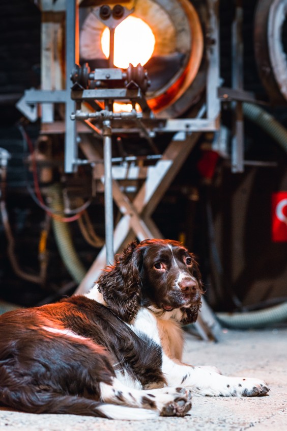 Glasblazers in Oostmarssum | Fotografie: Marjon Lukje