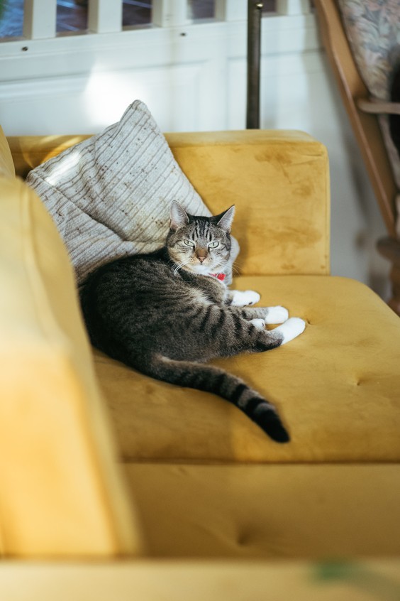 Lieke Kleinsmann woont met zeven huisgenoten in een woonboerderij in Utrecht | Fotografie: Marjon Lukje