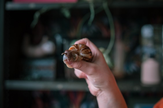 Kleurrijk huis in Baarn | Fotografie: Sheena Schouwink