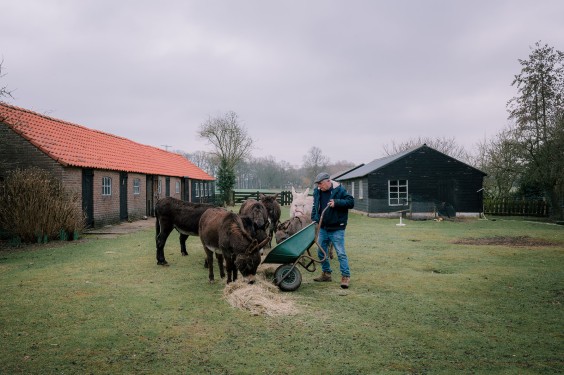 Stichting opvang de Ezelsociëteit | Fotografie: Sheena Schouwink
