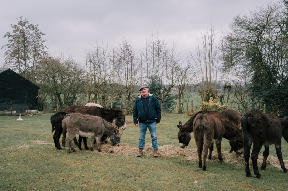 Stichting opvang de Ezelsociëteit | Fotografie: Sheena Schouwink
