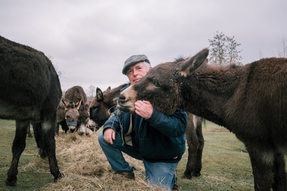 Stichting opvang de Ezelsociëteit | Fotografie: Sheena Schouwink