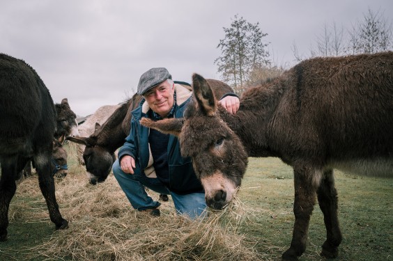 Stichting opvang de Ezelsociëteit | Fotografie: Sheena Schouwink