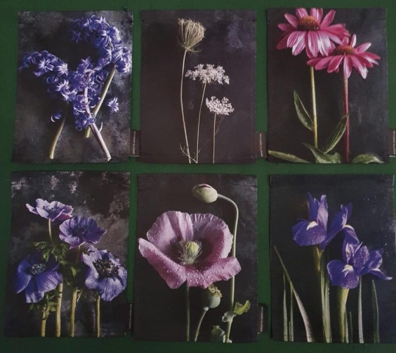 Fleurige woning in voormalige Joodse kapsalon