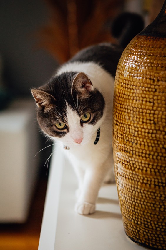 Monumentaal pand aan de Kalkhaven | Fotografie: Roos Eijmers