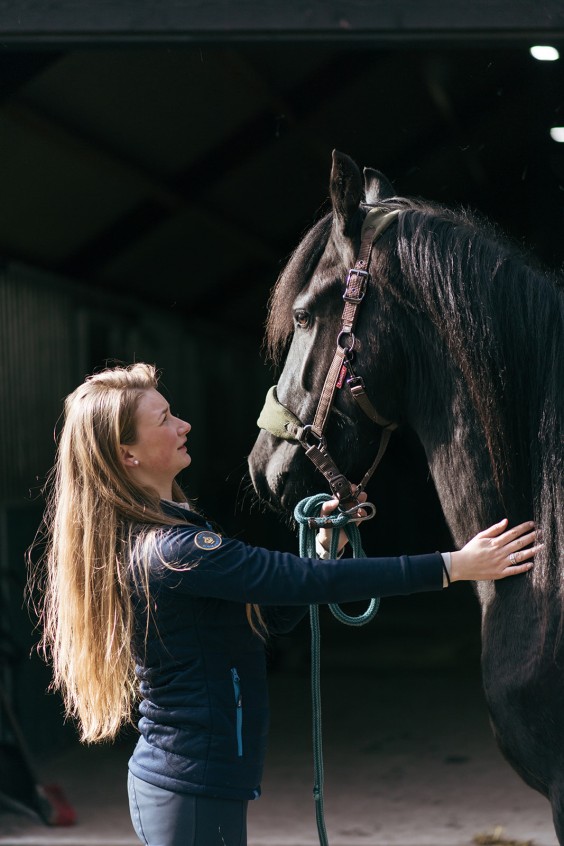 Friese paarden in Epe | Fotografie: Marjon Lukje