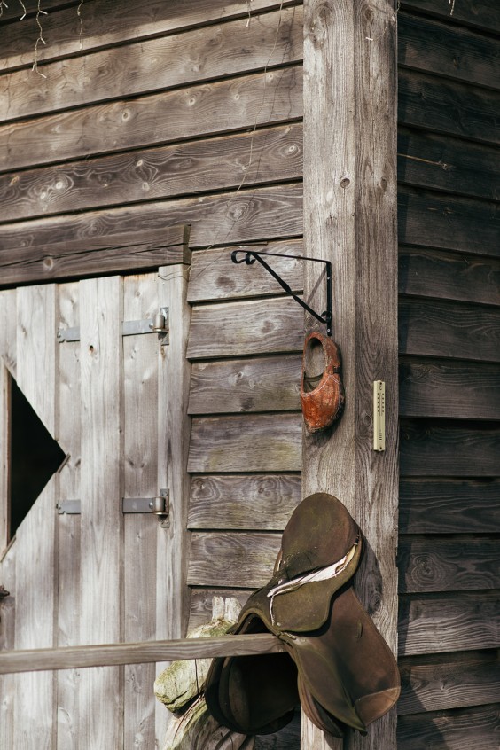 Friese paarden in Epe | Fotografie: Marjon Lukje