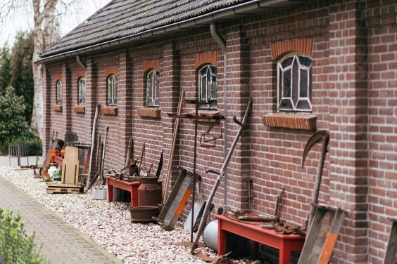 Helleborussen tuin in Sellingen | Fotografie: Marjon Lukje