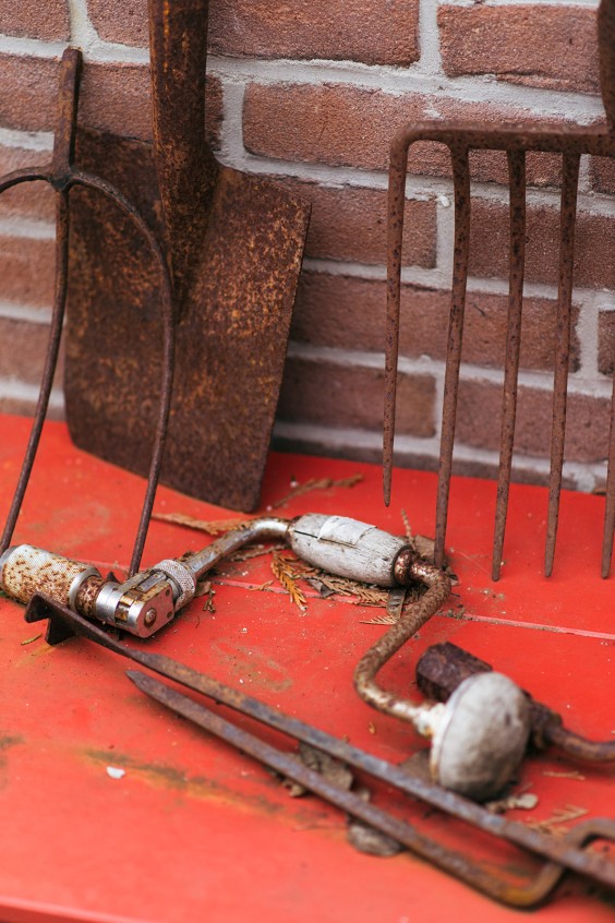 Helleborussen tuin in Sellingen | Fotografie: Marjon Lukje