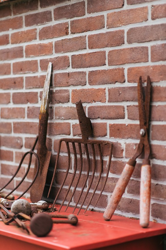 Helleborussen tuin in Sellingen | Fotografie: Marjon Lukje