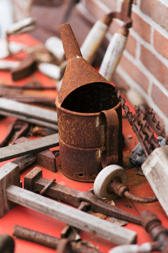 Helleborussen tuin in Sellingen | Fotografie: Marjon Lukje