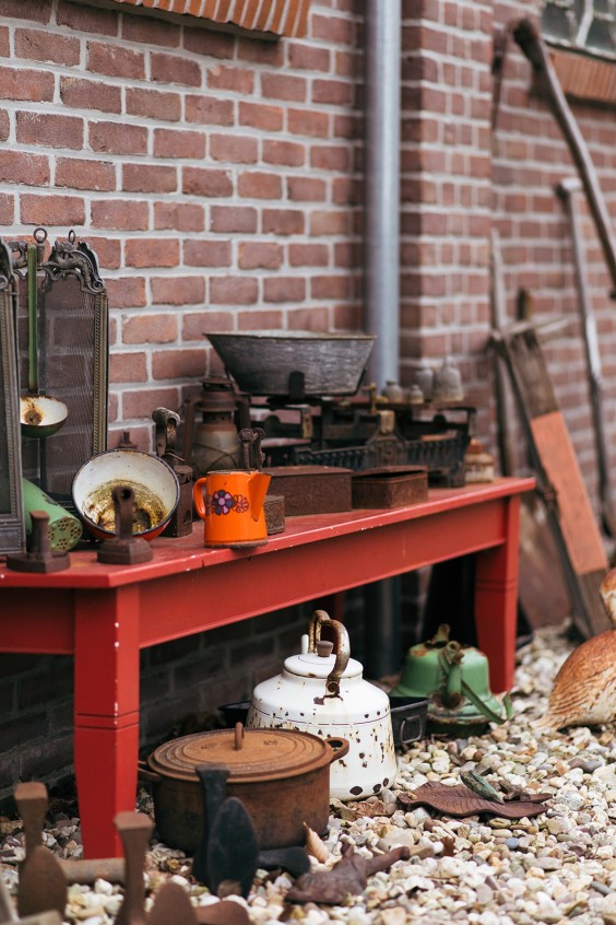 Helleborussen tuin in Sellingen | Fotografie: Marjon Lukje