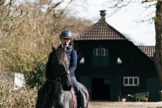 Friese paarden in Epe | Fotografie: Marjon Lukje