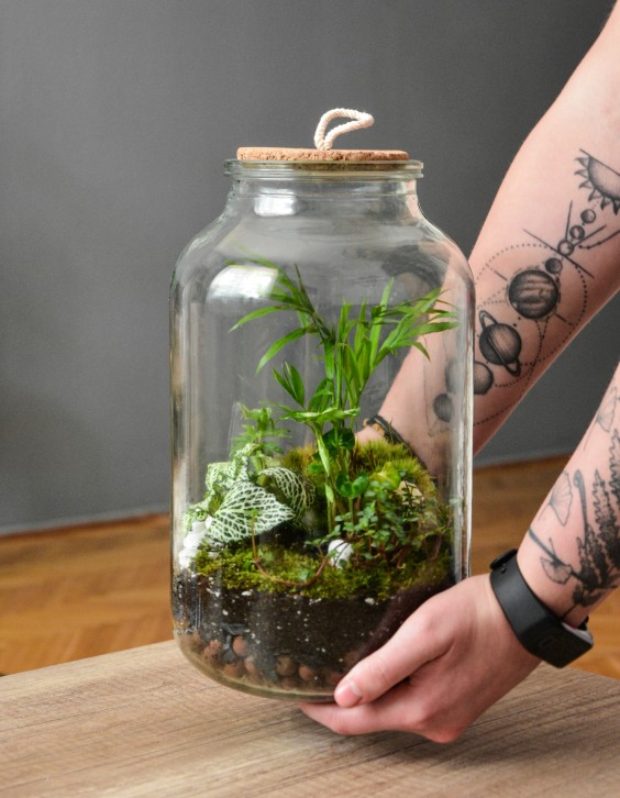 Terrarium