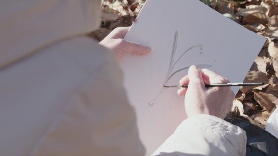 Botanische tekeningen