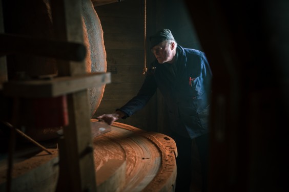 Verfmolen - Foto: Sheena Schouwink