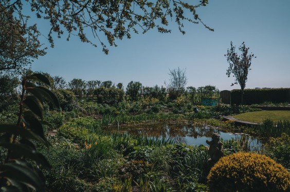 Voorjaarsbloeiers in de lentetuin in Lutjewinkel | Fotografie: Sheena Schouwink