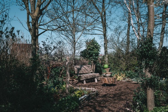 Voorjaarsbloeiers in de lentetuin in Lutjewinkel | Fotografie: Sheena Schouwink