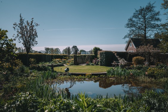 Voorjaarsbloeiers in de lentetuin in Lutjewinkel | Fotografie: Sheena Schouwink