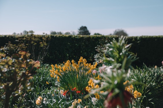 Voorjaarsbloeiers in de lentetuin in Lutjewinkel | Fotografie: Sheena Schouwink