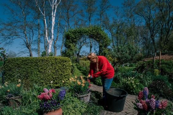 Voorjaarsbloeiers in de lentetuin in Lutjewinkel | Fotografie: Sheena Schouwink