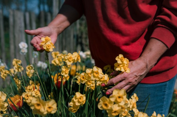 Voorjaarsbloeiers in de lentetuin in Lutjewinkel | Fotografie: Sheena Schouwink