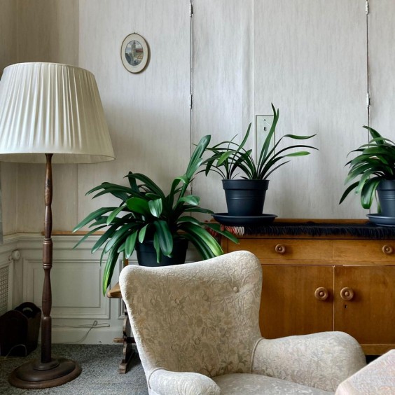 Snouck van Loosenhuis | Foto: Redactie BinnensteBuiten