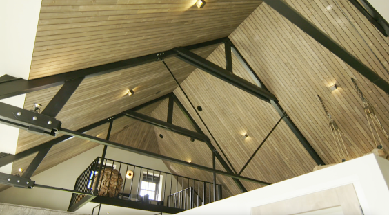 Moderne boerderij in Schaijk | Foto: BinnensteBuitentv