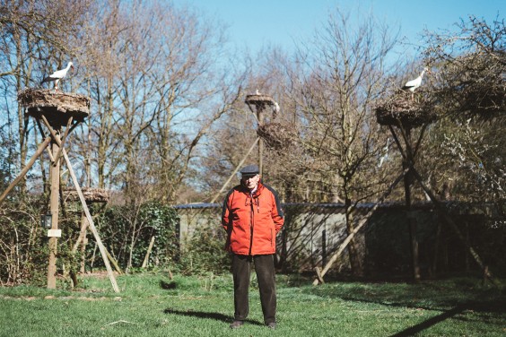 Ooievaarsstation De Lokkerij in Meppel | Fotografie: Marjon Lukje